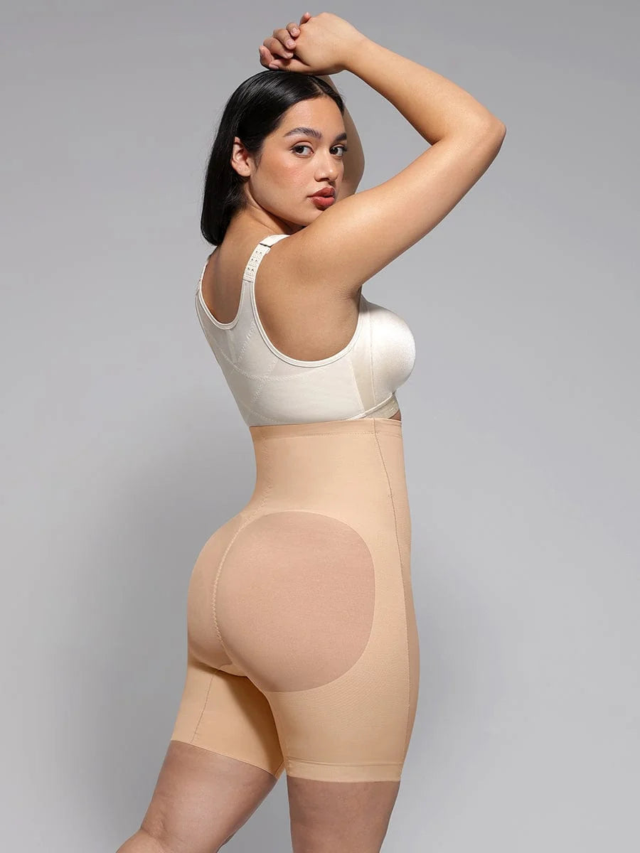 Faja Ref:3093